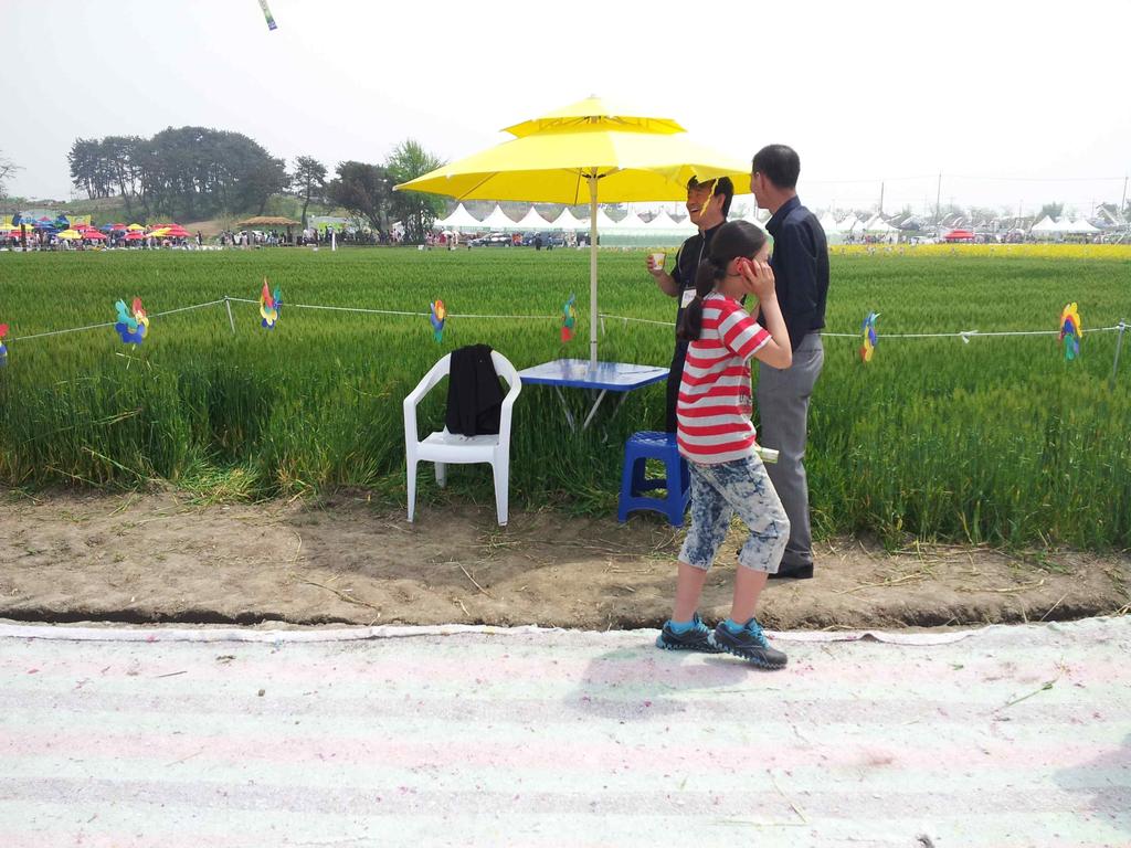 축제장 부스 밭 앉 을 수 있는 의자가 있었지만 많이 부족해 더 운 날씨에 노출되어 방문객들이 쉴 수 있는 편의 공간이 매우 부족하였음 - 어린이날에