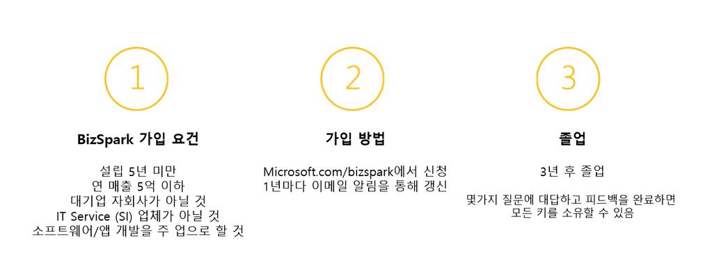 BizSpark