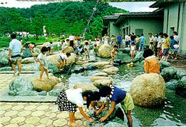 수산포커스 특히일본은 1970년부터원전이가동되기시작하면서온배수에대한연구가활발히전개되었고, 그결과원전 7개소, 화력