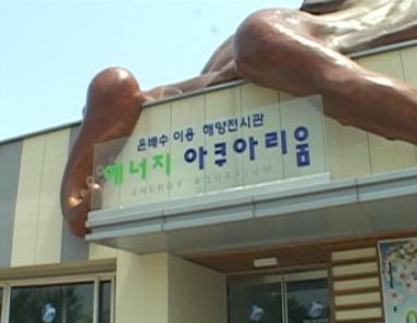 수산포커스 그림 -3 월성원전수족관및양식장 발전소온배수수산업활용분야이상의해외사례에서살펴본바와같이발전소온배수는농업과관련하여화훼재배등에활용되고있다.