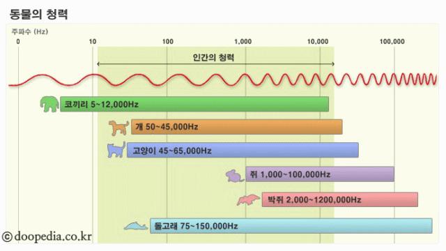 청각의특징 소리주파수범위 : 5 ~ 150kHz 인간의가청주파수범위 : 20 ~ 20kHz HD