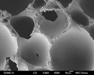 Polyurethane foam 과 rubber 의전체적인 의변화는접촉각측정결과에서예상할수있듯이전처리기류인 N 2 의유량이세어지고전처리시간이길 P 어질수록 및 의값이증가함에따라 값의증가를확인할수있었고, Table 6의 rubber는 1 m/min의 N 2 기류하에서 5 초이상전처리시 값의감소를확인하였다. 접착박리강도변화.