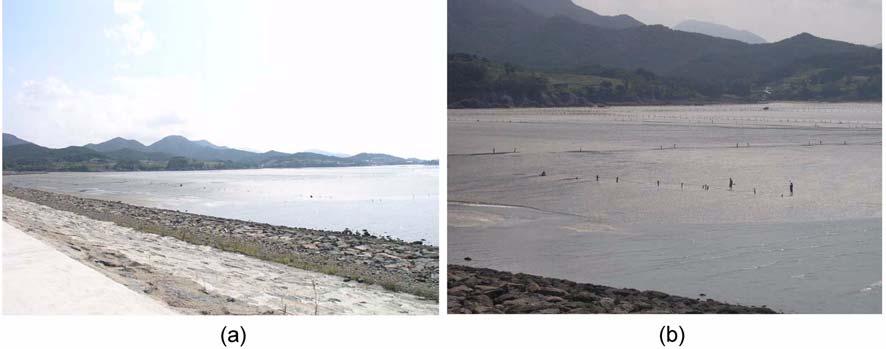 148 ½kÁŸ Fig. 4. Photos show (a) tidal flat outside the Saemankeum-1 sea dike and (b) series of stakes on the flat. ù w e d w ù» d w x d w (Fig. 4(b)). w d ƒ j š.