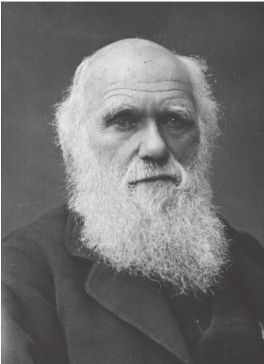 생물교란연구의시작 생물교란의중요성은 Charles Darwin (1881) 의마지막저서인 The Formation of Vegetable Mould through the Action of Worms with observation of their habits 에서처음으로언급되었다.