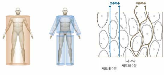 올해부터수출이성장주도 ( 십억원 ) 6 5 수출 내수 수출주도형외형성장 4 3 2 1 7 8 9 1 11 12 13F 14F 15F 그림