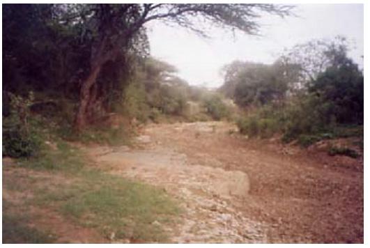 These districts are in the ASAL regions of Kenya and as earlier mentioned the people in these areas are mainly pastoralists and they therefore depend on their animals as a source of livelihood.