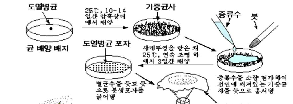 (2) 특성검정