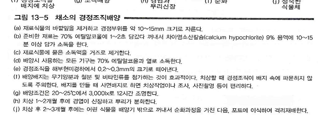 6. 생명공학기술을이용한육종법 (1) 조직배양 (tissue culture) 정의 : 세포의전형성능을이용하여식물의세포, 조직,