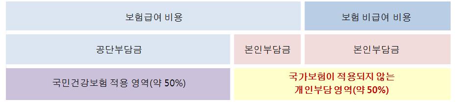 실손건강보험의성장 159 금 과건강보험에서보장이되지않는 보험비급여본인부담금 이다. 민영보험회사 에서판매하고있는실손건강보험은치료비중환자가실제부담하는본인부담금을 보전해주는보충형상품이다. < 그림 Ⅵ-5> 국내건강보험운용체계및실손건강보험 주 : 국민건강보험적용영역으로 50% 로표현하였으나, 이는발표자료에따라다를수있음.