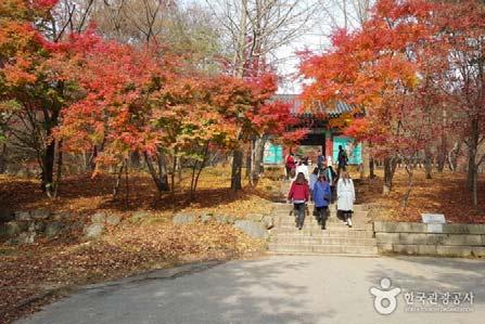 주변관광 수덕사 서해를향한차령산맥의낙맥이만들어낸덕숭산은북으로는가야산, 서로는오서산, 동남간에는용봉산이병풍처럼둘러쌓인중심부에서있다. 이덕숭산자락에많은고승들을배출한한국불교의선지종찰수덕사가자리하고있다. 백제는승려와절과탑이많다 라고중국사서인 북사, 수서, 주서 에기록되어있다.