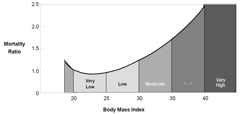 Ⅳ. 건강유해식품의가격탄력성추정 술 담배와비교하였을때건강유해한정크푸드에대한비만세논의는비교적최근에시작되었다. 비만을정의하기위해주로사용되는지표는 Body Mass Index(BMI, 체질량지수 ) 이다.