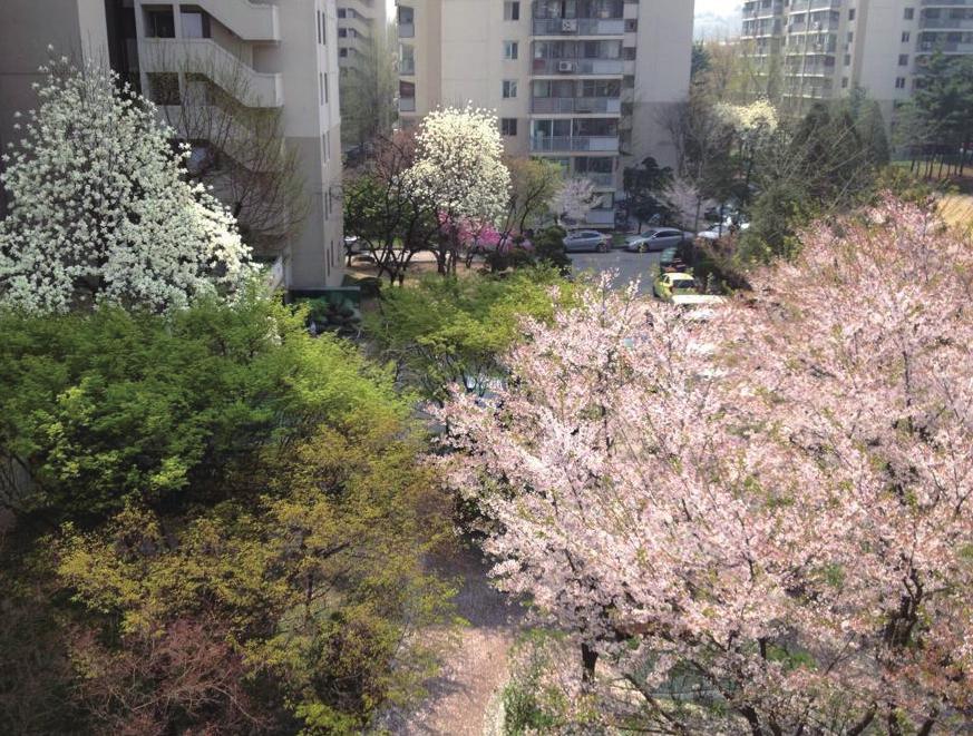 의왕 과천의 녹지 총량이 더 이상 줄어들지 않게 하겠습니다. 부수기 전에 주거대책을!