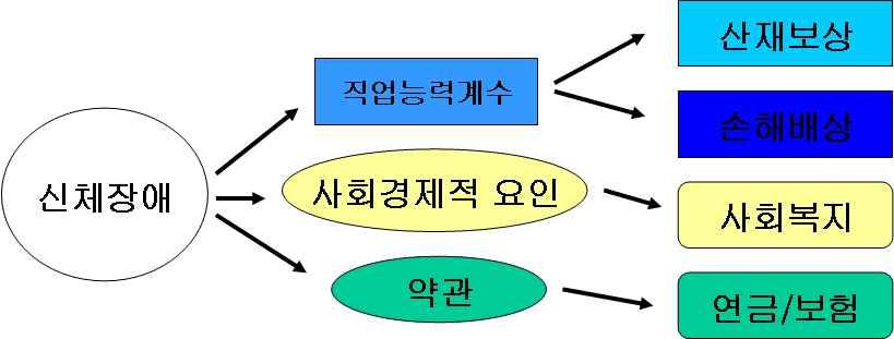 제적요인과환경을고려한장애평가가더바람직하다. < 그림 1-5-1> 장애평가활용분야 대한의학회장애평가기준에따른장애정도는직업을제외한일상생활의불편정도를백분율로표현한것이며, 실제로특정직업이나업무에대한수행능력이나수행능력의제한에따른수입의감소를표현한것이아니다.