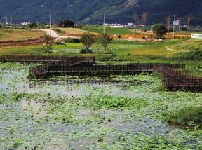 위치 : 경북고령군성산면박곡리 386 문의 : 고령문화관광 http://utour.gor