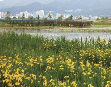 위치부산사하구하단동일대 문의문화회관 051. 220. 5801 을숙도생태공원 황산경 am.