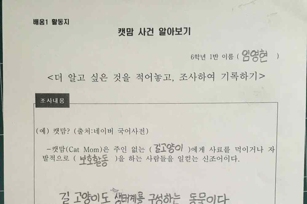 길고양이문제해결을위해자신의 (5,6/8) 마음을담아글과광고제작하기