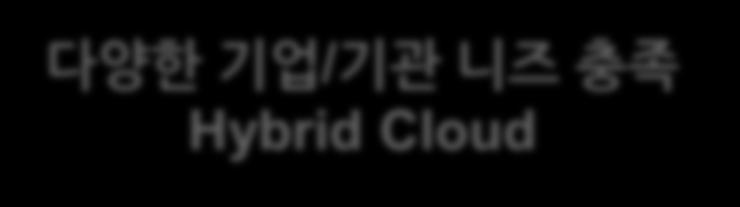 SAP Cloud 전략 : 주요특징 다양한기업 / 기관니즈충족 Hybrid