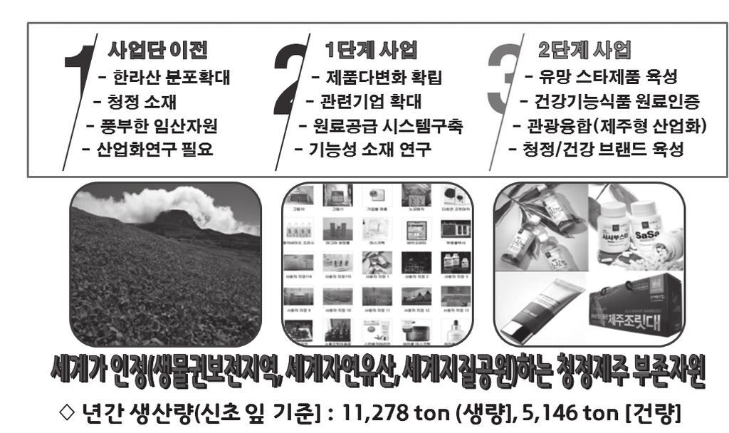 제주조릿대신산업진흥 RIS 사업단 - 지역연고자원을활용한융복합산업의견인차 그림 2. 제주조릿대신산업진흥계획 의다양한기능성이밝혀지고있다. 또한, 제주조릿대는유네스코가지정한세계자연유산인한라산생물권보전지역에서만자생하는식물로한라산에서가장풍부한임산자원임과동시에청정성과힐링관광소재로서의가능성이매우높은자원이기도하다.