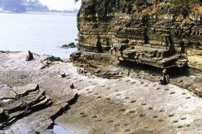 또 다른 중요한 발견은 홍성에 이아스기 송림 운동 시기에 한반도 중부에서는 대 에만 집중되어 나타난다.