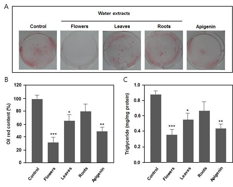 H. H. Yin et al 325 202-K, AM 203-KTC, AM 157S-K) 로 TC (total cholesterol), HDL (high density cholesterol), LDL (low density cholesterol) 및 TG (triglyceride) 을측정하였다.