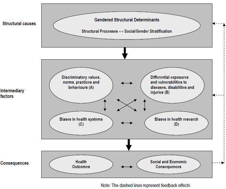 Ⅱ. 건강의사회적결정요인으로서젠더 적이고비효율적인건강결과를도출하며, 궁극적으로여성과남성, 소녀와소년, 그리고이들을둘러싼공동체, 지역사회, 국가에심각한사회경제적불평등의결과를초래할수있다. 출처 : Sen, Q., Östlin, P., George, A. (2007).