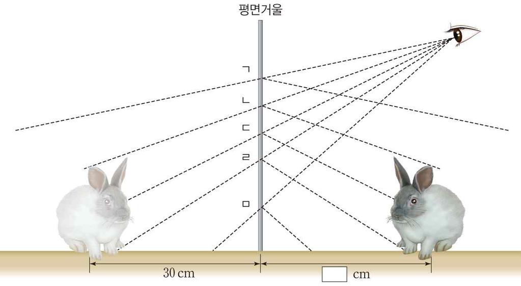 4 그림은철수가평면거울을통해토끼인형을보고있는모습을나타낸것이다. 영희가종이로거울을가려강아 지인형을보이지않게하려고한다. (1) ㄱ ~ ㅁ구간중최소로가려서보이지않게하기위한구간은어디인지쓰고, 그렇게생각한까닭을설명해보자. 문이다. 최소로가려야하는구간은ㄴ ~ ㄹ이다.