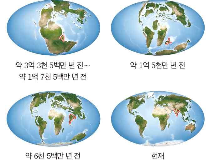 디딤영상핵심내용 ❶ 대륙이동설 (1)