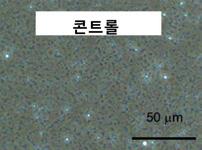 2015 제 47 호유가공협회 유리 ( 遺離 ) 한지방산량 ( 무첨가시의지방산량을 100% 로함 ) 도표 1) 췌장리파아제에의해중성지방질에서유리되는지방산의양 비율 (%) 7 6 5 4 3 2 1 100 80 60 40 20 0 1 0 0.