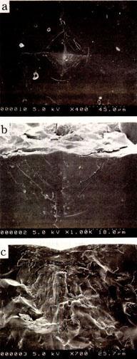 Fig. 4. Vickers hardness numbers of some dental ceramics. Fig. 5. Fracture toughness of some dental ce-ramics measured by indentation frac-ture method. 였을때의균열형상을 SEM으로관찰한것이다.