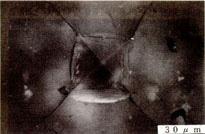 Ⅳ. 총괄및고안 Fig. 7. Vickers indentation pattern of Vitadur-N under P=9.8N. Fig. 8. Vickers indentation pattern of Vita In-Ceram under P=9.8N. Fig. 7은 Vitadur-N의표면에압입하중 9.