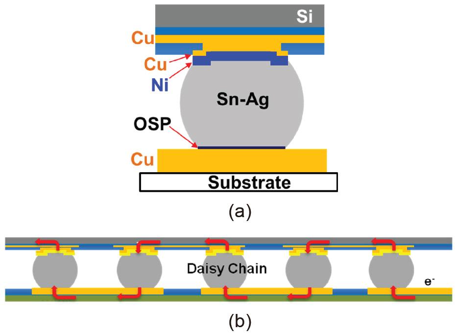 대한금속 재료학회지제 55 권제 11 호 (2017 년 11 월 ) 800 Fig. 1. Schematic structure of (a) Cu/Ni/Sn-Ag/Cu flip chip bump and (b) daisy chain for EM test 나, Cu/Ni/Sn-Ag/Cu 솔더범프구조에서전류밀도조건이 EM 손상기구에미치는영향에대해정밀하게분석한연구는매우미흡한실정이다.