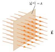 19. 8 전기선속 lctic lu 전기장의세기 :