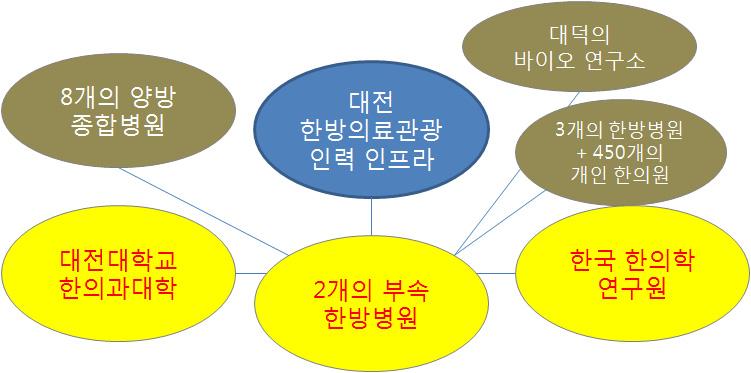 Ⅶ. 대전한방의료관광활성화방안 2.
