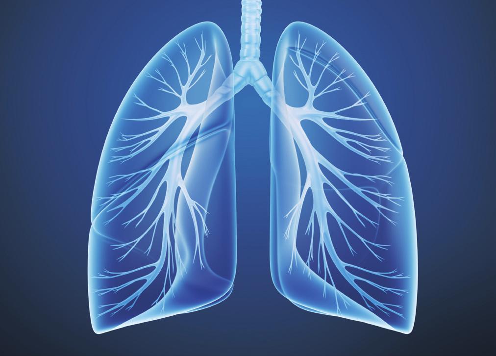 흡연자 검사 추천 먼지 또는 분진 등 오염된 대기환경에 노출되는 분 기침, 가래가 2주 이상 지속되거나 가래에 혈담이 묻어나오는 분 목소리가 쉬거나 가슴 부위의 통증, 호흡곤란, 호흡 시 쌕쌕거리는 소리가 나는 분 폐암의 가족력이 있으신 분
