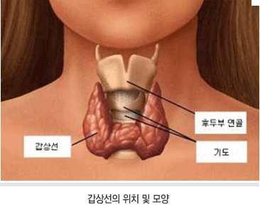 12.1. 1 세부부록 12.1.1. 설문지 12.1.1.1. 대국민설문조사설문지안녕하십니까? 한국보건의료연구원에서는갑상선암검진의현황을조사하는연구를진행하고있습니다. 본조사에는갑상선초음파검진현황, 갑상선암에대한위험인식및검진의도등을조사하고자합니다. 갑상선은목앞쪽에위치한나비모양의기관으로갑상선호르몬을분비해서인체내모든기관의기능을적절히유지시켜주는역할을합니다.