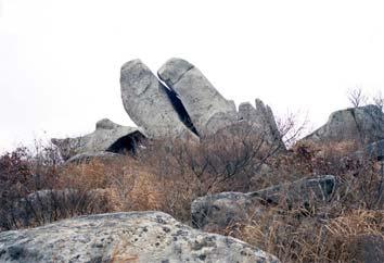 오건환 신해수 조사자 : 오건환소속 : 부산대학교 NO.