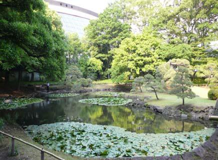 일본은우리나라와마찬가지로장기미집행도시공원부지가많지만일몰제등의조기조성에대한필요성은없는상태이며도시공원