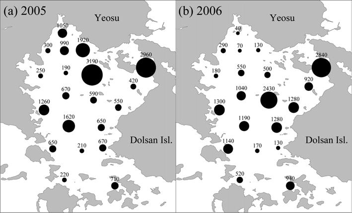/m 2 로 2005 년에다소높았으나정점별개 체밀도분포는출현종수와마찬가지로해역에따라연도별양상 이달랐다. 2005 년의경우, 정점 7 과 8 에서의밀도가 3,000 ind./m 2 전후로가장높았으며북부내만역의정점 1 과 4 그리고만중앙 부의정점 10과 14에서도 1,000 ind./m 2 이상의고밀도출현양상 이관찰되었다.