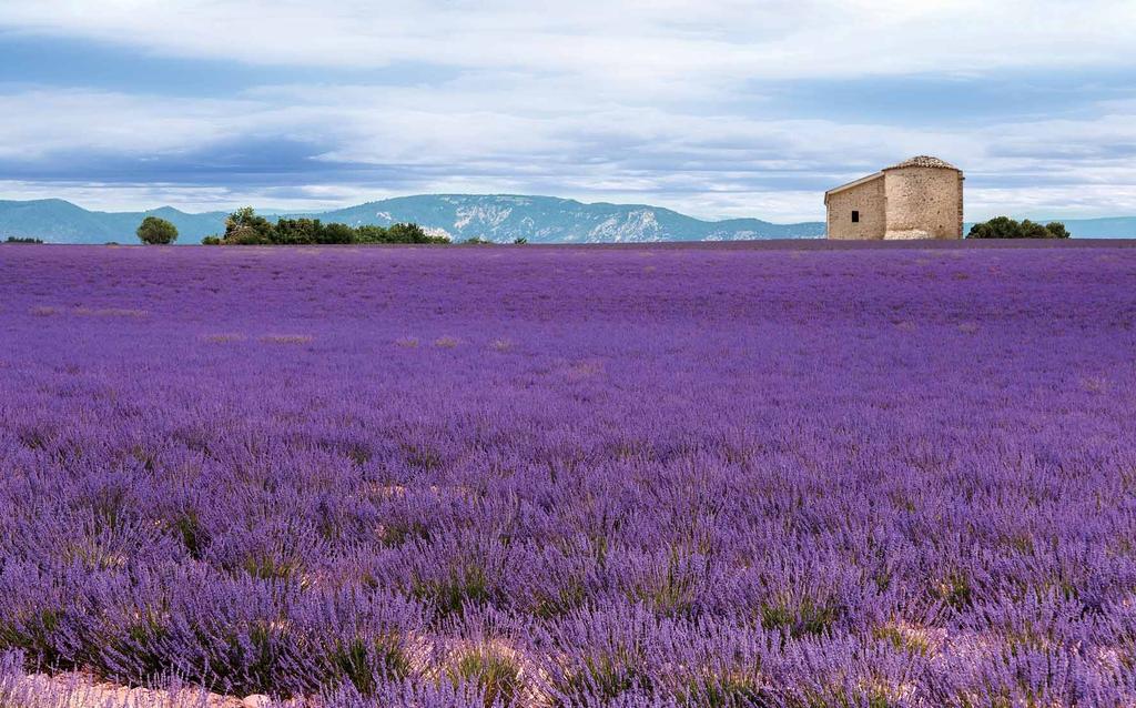 PROVENCE Provence is a region in the southeast of France where you can enjoy a slow paced lifestyle in the traditional countryside.