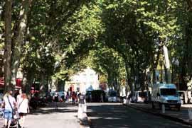 You can drop by the birthplace of Cezanne whilst strolling from the Place du General-de-Gaulle to the Cours Mirabeau with its magnificent plane trees.