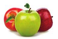 색소가함유된과일및채소, EN 또는 AOAC 색소가다량함유된과일및채소, EN