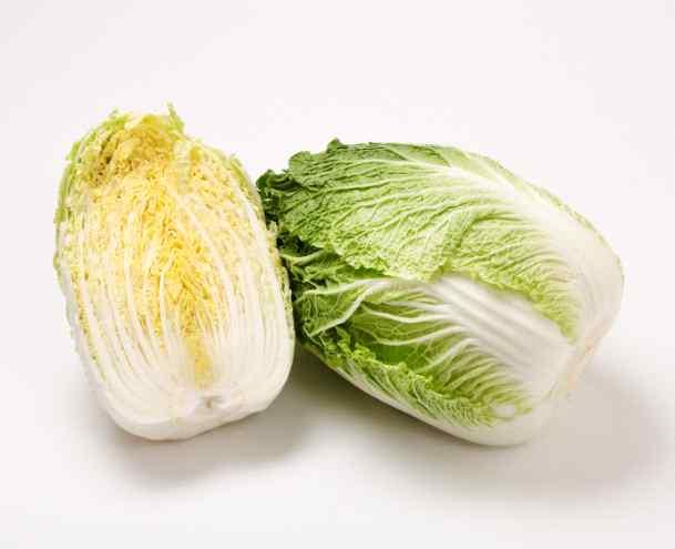 양배추와브로콜리와근연종 영명 : chinese cabbage 특성 -