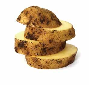 감자에는칼륨이많아서요즘과같이가공식품이나인스턴트식품을섭취함으로써몸속에과잉되기쉬운나트륨의잔류를배출하여적정선을유지하도록한다. 감자를고를때는껍질이적당히건조되어물기가없으며주름이나흠집이없이매끈한것을골라야한다. 흠집이난것은금방썩어버리기쉬우며, 표면이쭈글쭈글한것은수확한지오래된것이다.