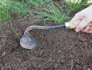 씨앗이흘러내리거나흙이패지않도록물을뿌려준다. 부추는발아일수가길다. 씨앗을뿌린후발아까지 10~15 일정도로오래걸린다.