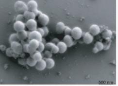 2013) Artemisinin pathway