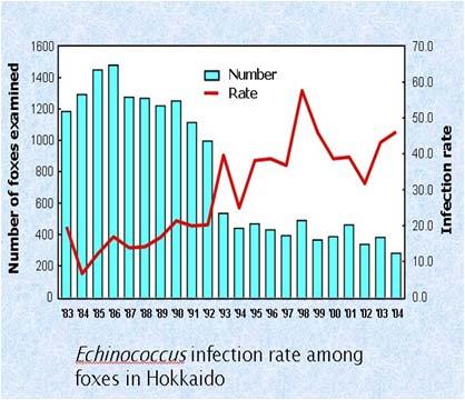 그림 112. 일본북해도지역의여우에서발생한년도별다방조충증감염율 그림 113.