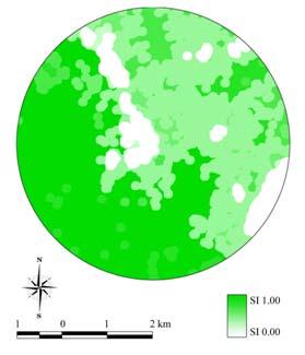 SI 값구성비 (%) 환산면적 ( km2 ) 1.0 15.27 5.76 0.9 15.59 5.88 0.8 18.26 6.89 0.7 1.42 0.54 0.6 22.46 8.47 0.2 5.95 2.25 0 21.05 7.94 합계 100.00 37.73 SI 7 = 0.60 그림 254.