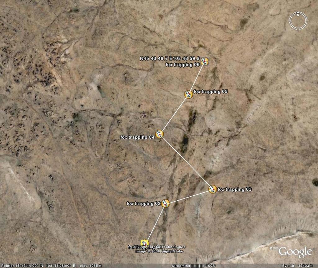fox trapping sites 그림 20.