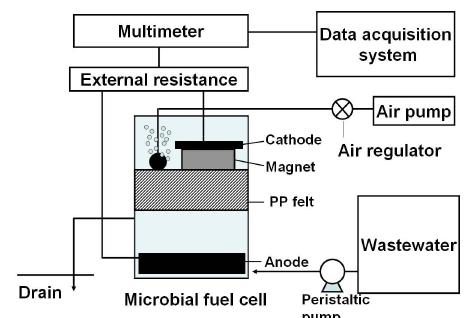 이러한산소의성질을이용하여자석을미생물연료전지의양극에적용시양극의전극주위에산소의밀도를높임으로서성능을향상시킬수있었다. 멤브레인의경우수소이온이이동하면서내부저항을유발하기때문에이를최소화하는과정이필요하다. 현재우리연구실의경우절연체를사용하는대신멤브레인을사용하지않는 MFC를개발중에있다.