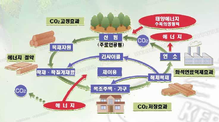 3.1.2 이산화탄소의흡수원 / 배출원 산림생태계의주요탄소저장고는나무와토양입니다. 그러나숲이훼손되거나지구온난화로인해지구의평균기온이높아지면나무와토양에있는탄소가대기중으로배출됩니다. 따라서숲을잘가꾸고보전하면나무와토양에더많은탄소를저장할수있게되므로지구온난화를완화시킬수있습니다.